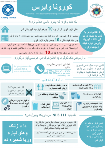 Coronavirus Infographics