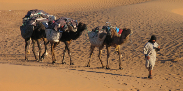 sahara